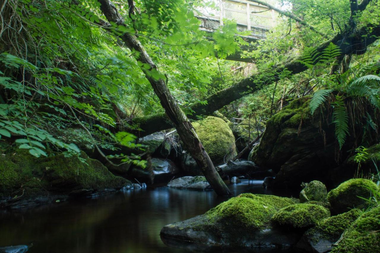 The Ben Sheann Hotel Strathyre Luaran gambar
